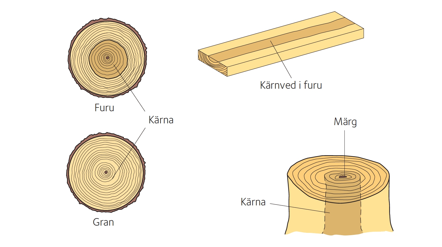 Furu- och grankärna och kärnved i furu