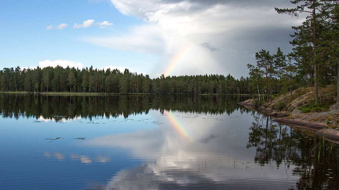 Insjö-i-skogslandskap..jpg
