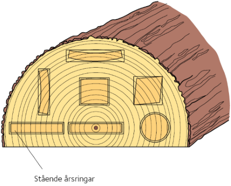  Årsringarnas orientering i ett trästycke