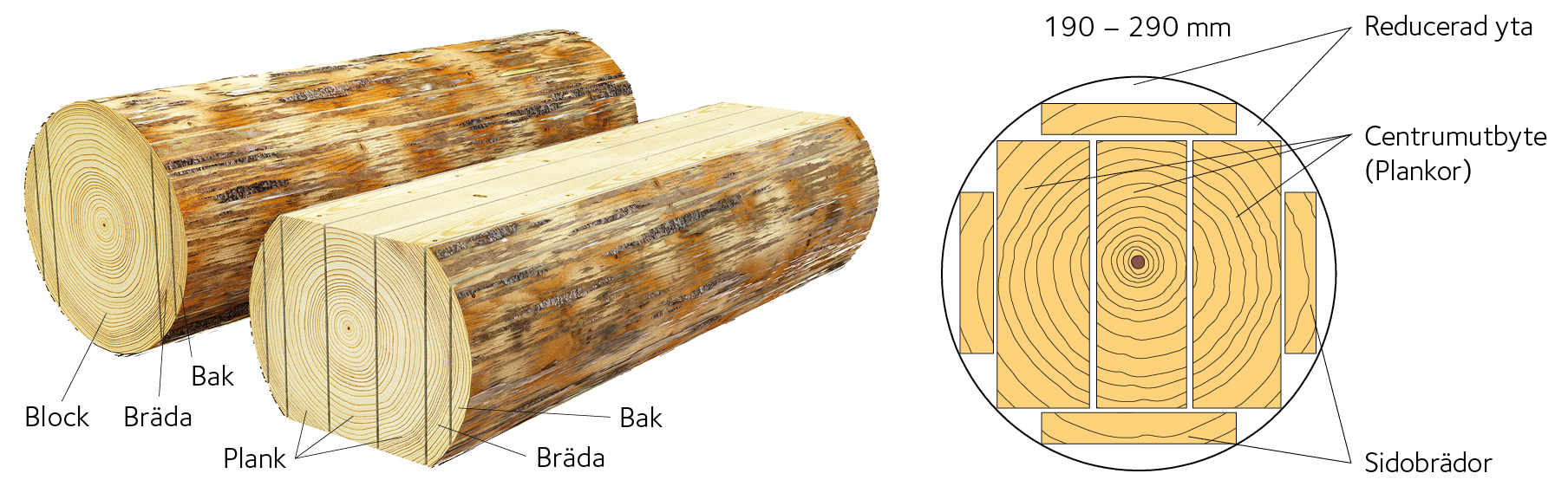 AVT-fig19.jpg