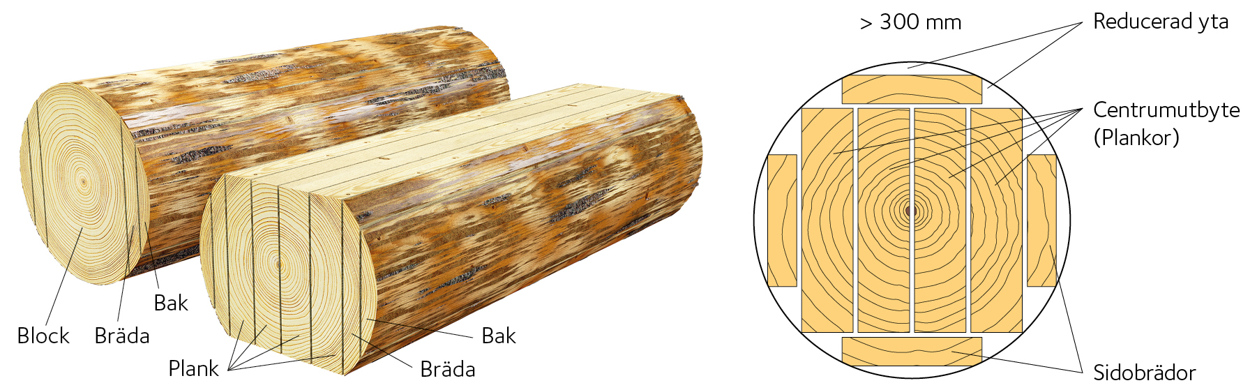 AVT-fig20.jpg