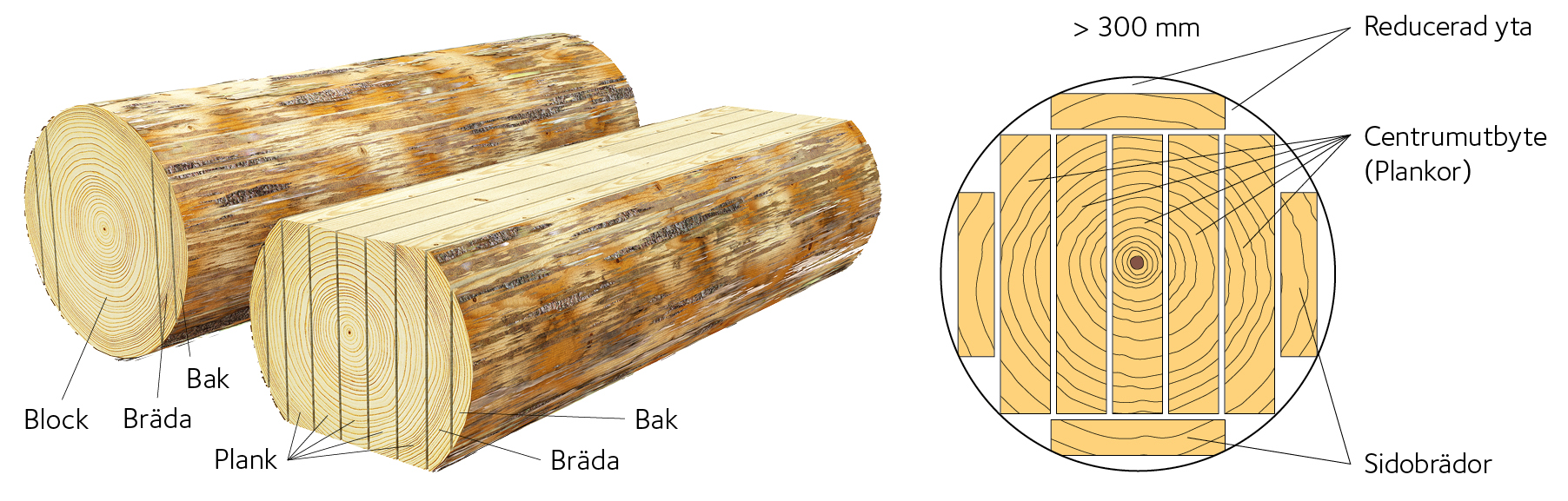 AVT-fig21.jpg