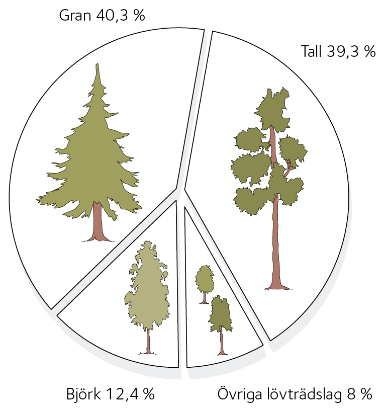 AVT-fig05.jpg