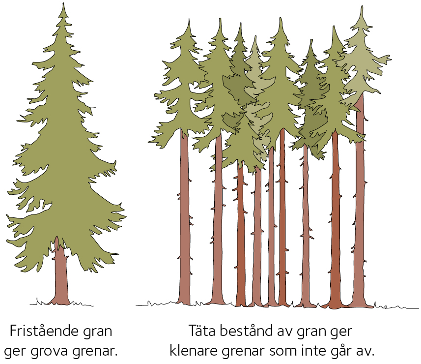 AVT-fig07.jpg