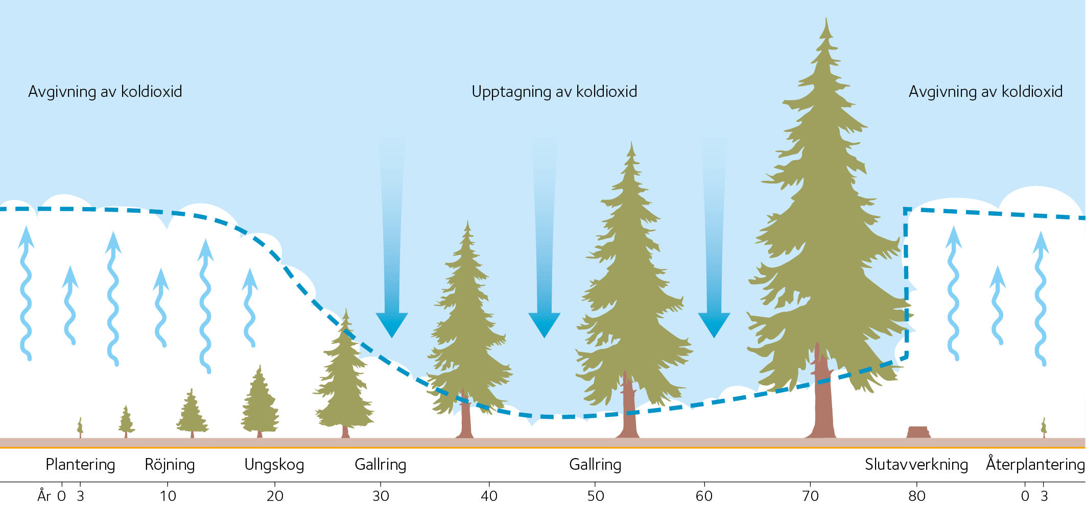 AVT-fig09.jpg