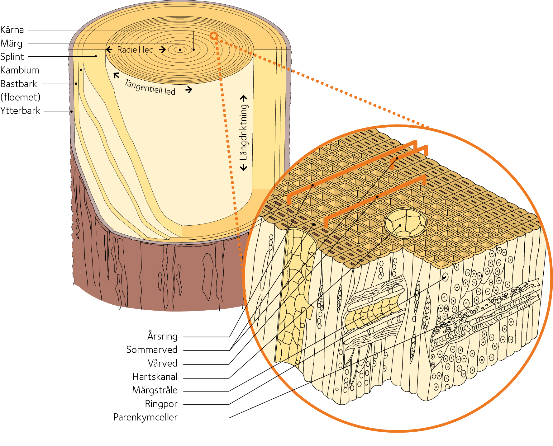 AVT-fig28.jpg