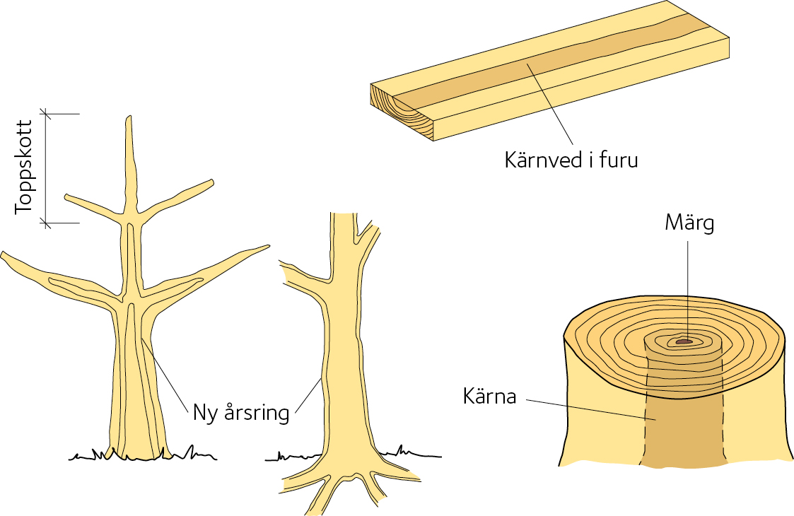 AVT-fig30.jpg