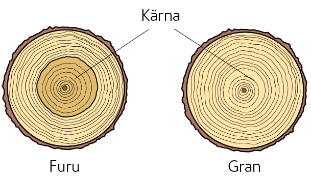 AVT-fig33.jpg