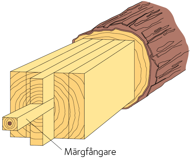 AVT-fig95.jpg