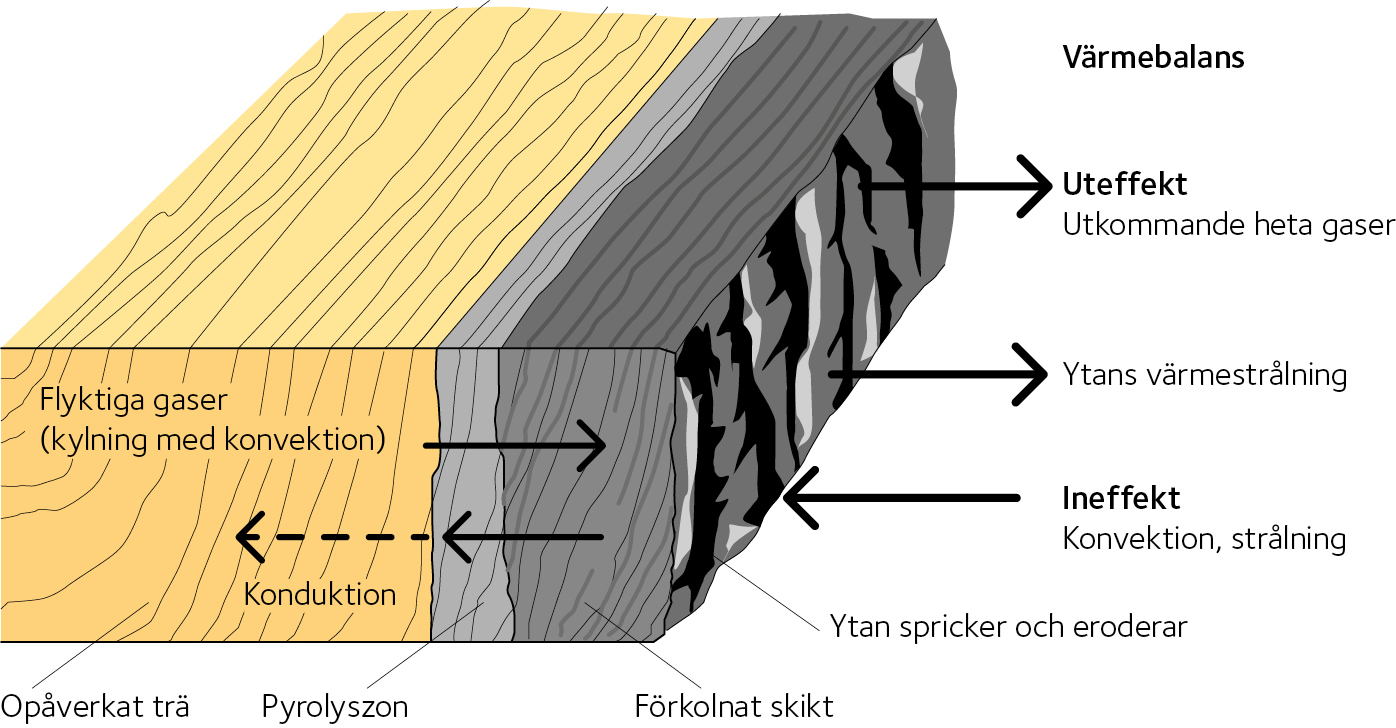 AVT-fig43.jpg