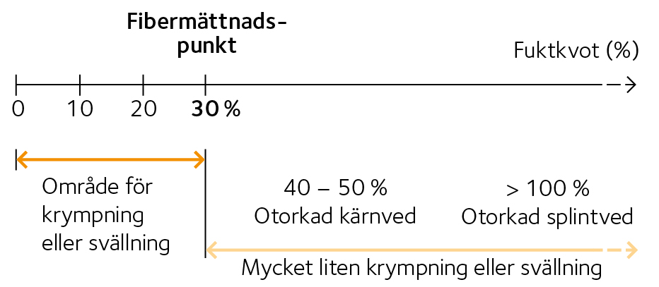 AVT-fig49.jpg