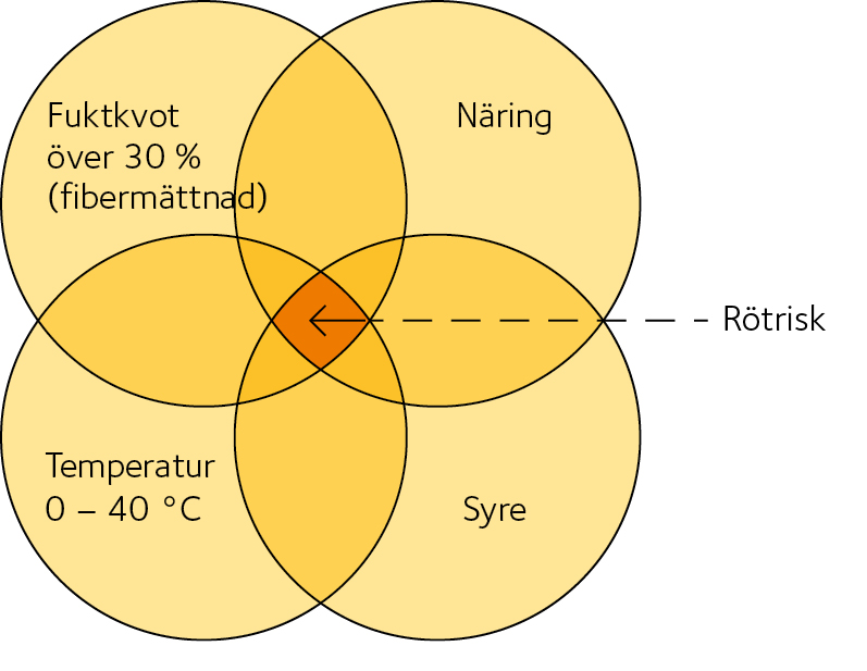 AVT-fig57.jpg