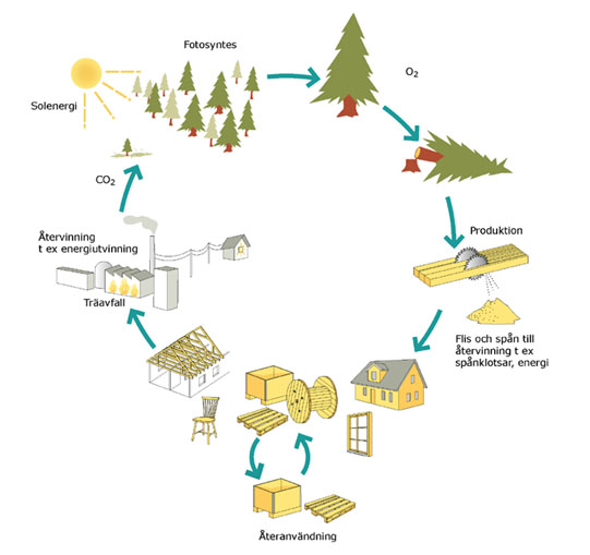 Träprodukters kretslopp